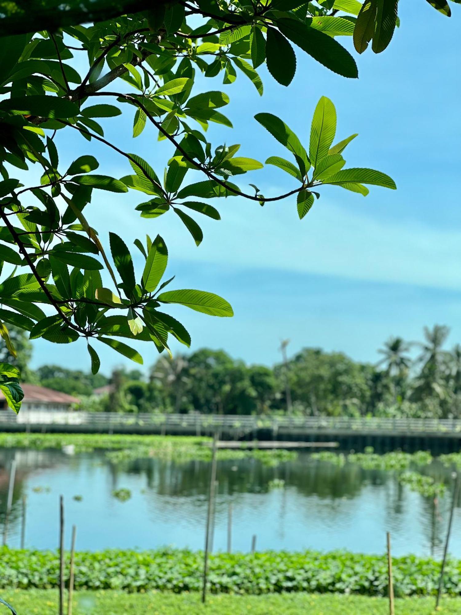 Mrt Riverside Sampran มิสเตอร์ที โฮมสเตย์-ช้องนาง Luaran gambar
